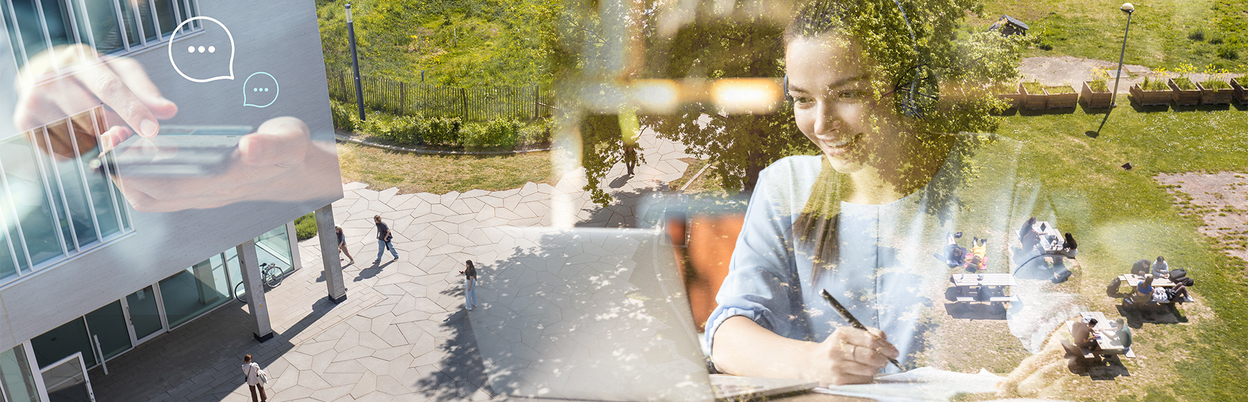 ALL STUDY PROGRAMMES AT VUB visual data 8